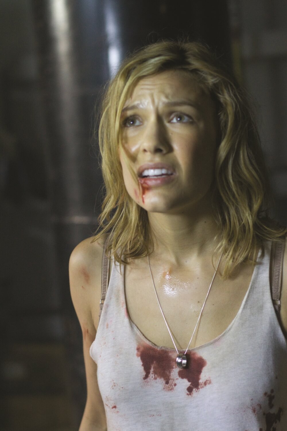 ステラは仲間と共に吸血鬼と女王リリスを倒しにいく